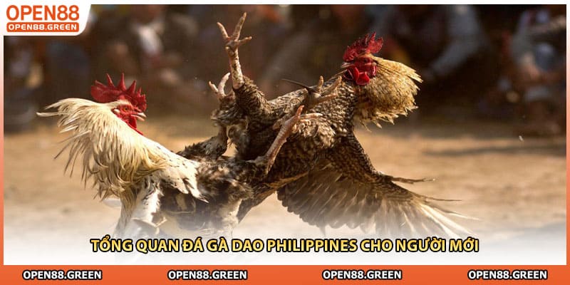 Tổng quan đá gà dao philippines cho người mới